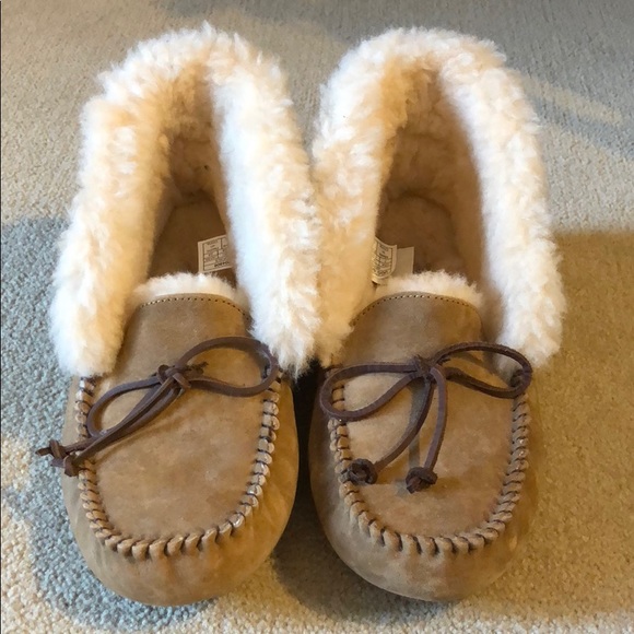 UGG Shoes - UGG slippers - never worn!